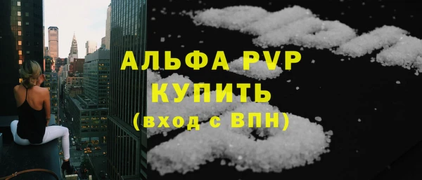 гидра Новозыбков