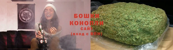 первитин Новодвинск
