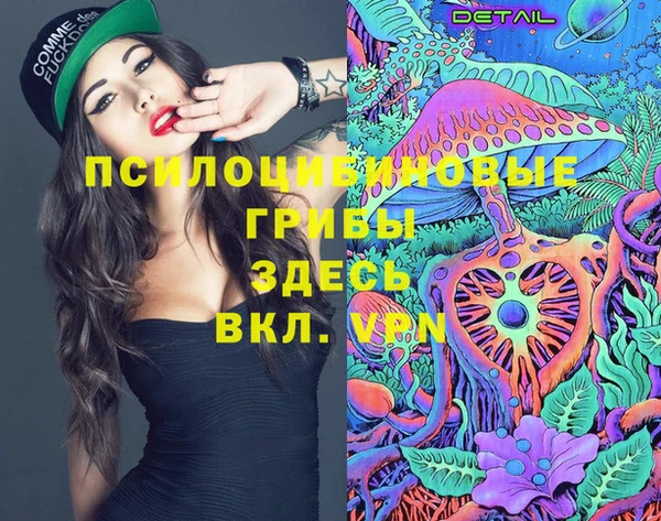герыч Абаза