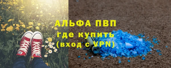 гидра Новозыбков