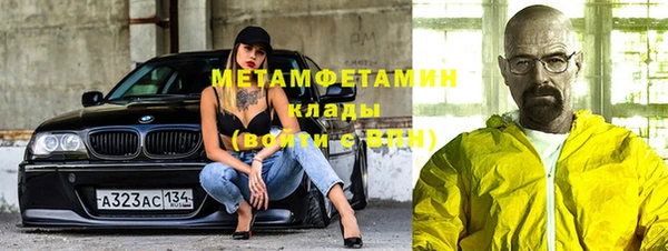 гидра Новозыбков